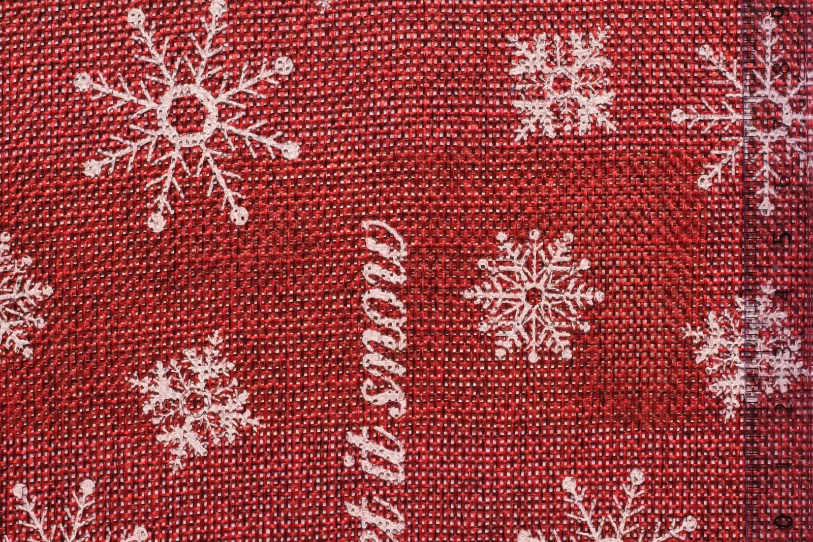 10JUTSNO00REDxxxJUT[JUTE SNOW](RED)F